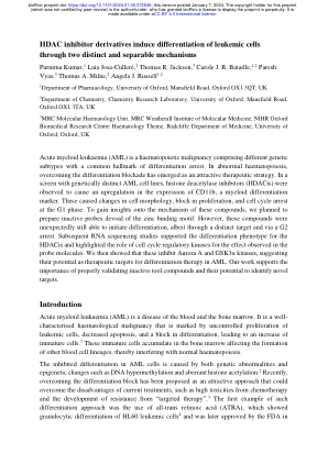 HDAC 抑制剂衍生物通过两种不同且可分离的机制诱导白血病细胞分化